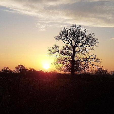 Foxes Field B&B Aston Nantwich Wrenbury Exteriör bild