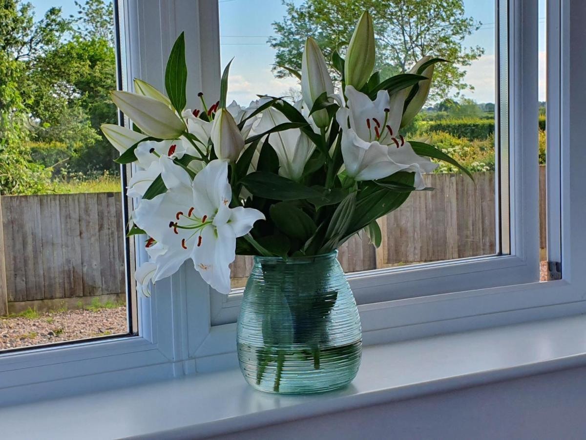 Foxes Field B&B Aston Nantwich Wrenbury Exteriör bild