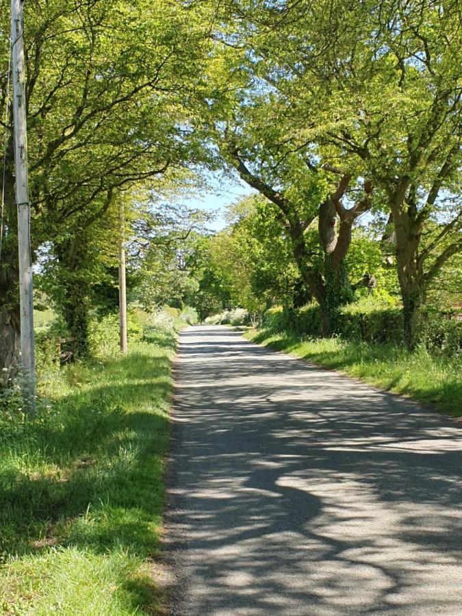 Foxes Field B&B Aston Nantwich Wrenbury Exteriör bild